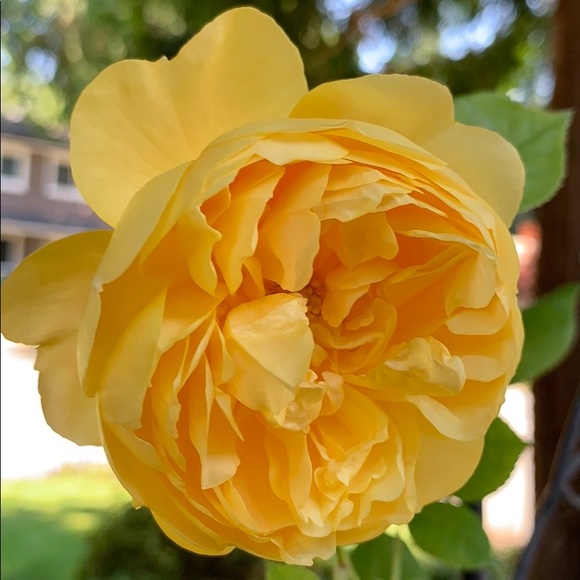 ☕️THANK YOU FOR YOUR SUPPORT!! - Picture 7 of 10